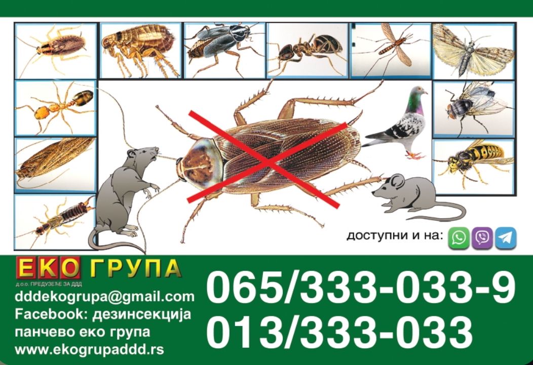 Tim Eko Grupe DDD Pančevo pri deratizaciji